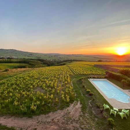 Au Coeur Des Vignes Moulin A Vent Διαμέρισμα La Chapelle-de-Guinchay Εξωτερικό φωτογραφία