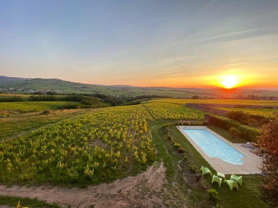Au Coeur Des Vignes Moulin A Vent Διαμέρισμα La Chapelle-de-Guinchay Εξωτερικό φωτογραφία