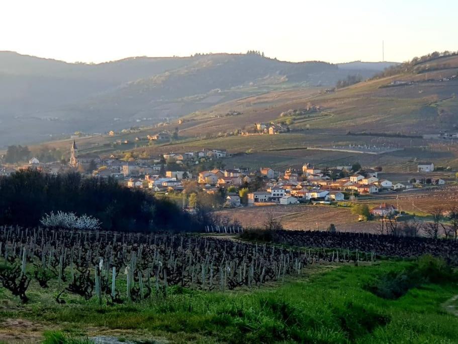 Au Coeur Des Vignes Moulin A Vent Διαμέρισμα La Chapelle-de-Guinchay Εξωτερικό φωτογραφία